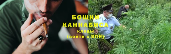ПСИЛОЦИБИНОВЫЕ ГРИБЫ Арсеньев
