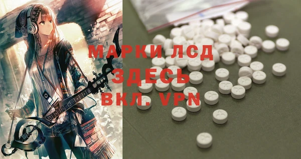 ПСИЛОЦИБИНОВЫЕ ГРИБЫ Арсеньев