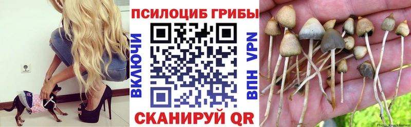 Псилоцибиновые грибы мицелий  где продают наркотики  Мамоново 
